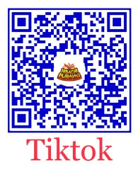 hibachi tiktok